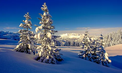 Skiregion Adelboden-Lenk
