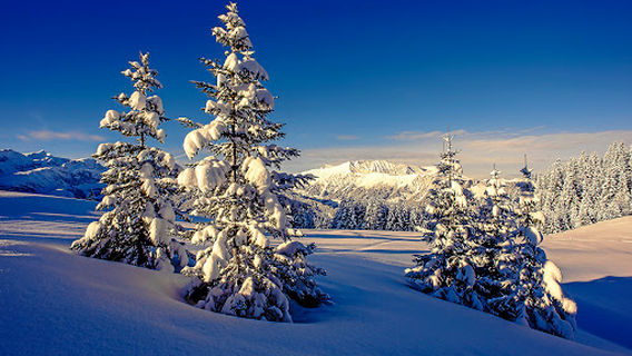 Skiregion Adelboden-Lenk