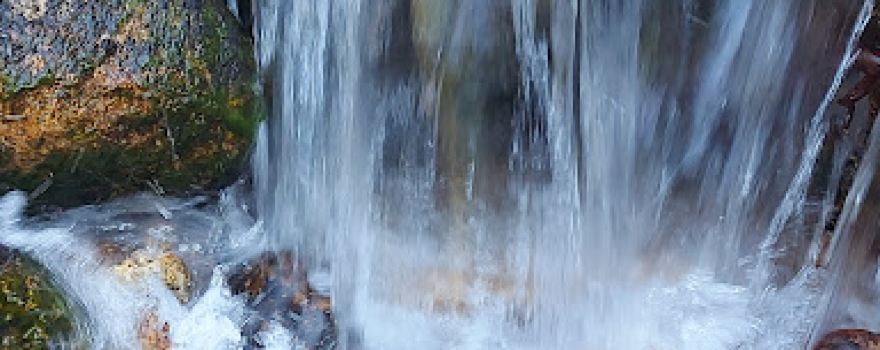 Miliario Romano da Ponte Nova