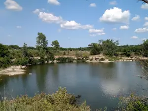 Pomona Outlet Campground