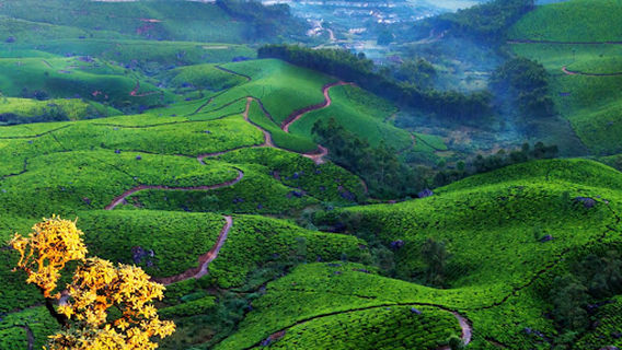 Munnar