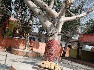 Chakwa Mahaveer Mandir