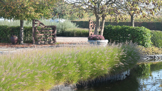 Tielt