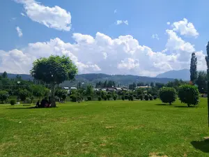 Gulnar Park
