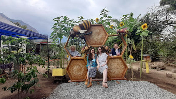 MAYAN STINGLESS BEES (Abejas Nativas)