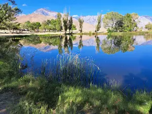 Brown's Millpond Campground
