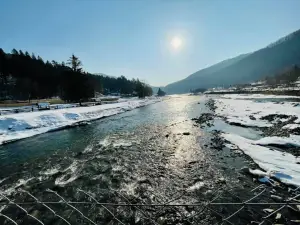 Pam'yatnyk Zarobitchanam