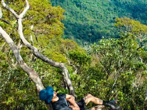 Puncak Delleng Simpon