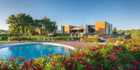 PAPAFIGO Camping and Glamping