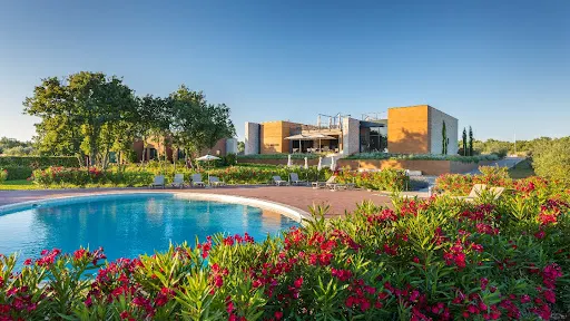 PAPAFIGO Camping and Glamping