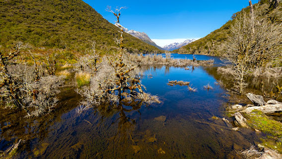 Lake Howden