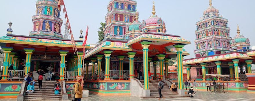 Reader's Library , nawada