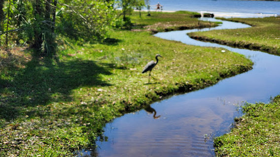 Liza Jackson Dog Park