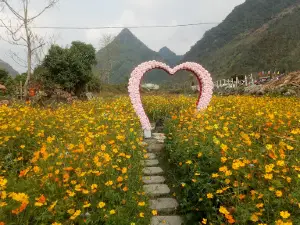 Thung lũng hoa Quảng Chu
