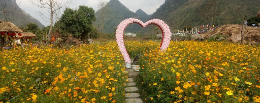 Thung lũng hoa Quảng Chu