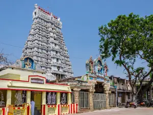 Shri Vaidyanatha swamy Temple