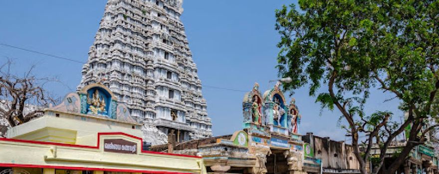 Shri Vaidyanatha swamy Temple