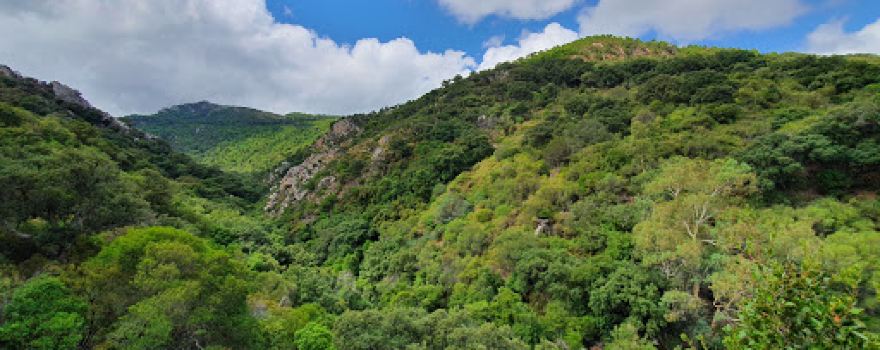 Garganta del capitán