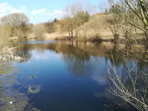 Snowflake Ravine Reserve