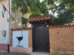 Blue-necked Ostrich Farm