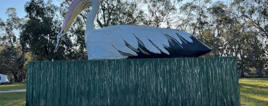 The Big Pelican