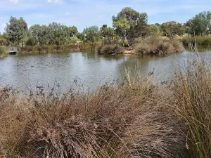 Pinnaroo Wetlands