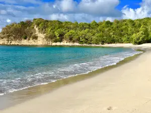 Anse La Roche Bay