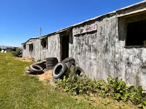 Ambush Airsoft and Paintball