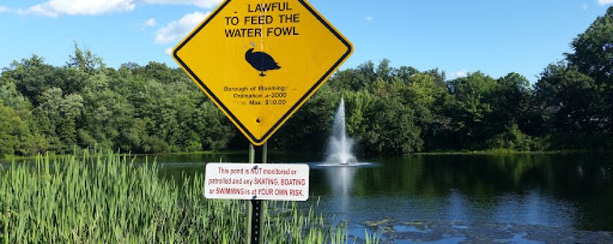 Bogue Pond Park
