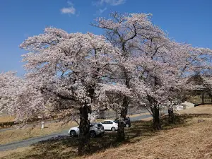 雲雀ヶ原祭場地