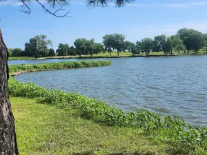 Rocky Pond Christmas