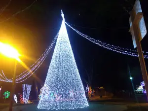 San Carlos De Guaroa, Meta Central Park