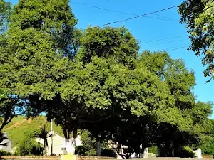 Praça Raul Soares