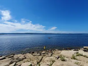 Aloha Argazi