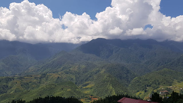 DaoCenter - Tắm Lá Người Dao