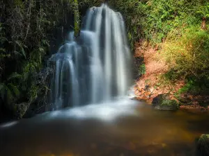 Ballard Waterfall Forest Recreational Area