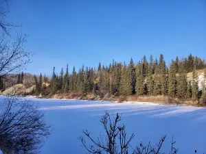 Pembina River Provincial Park