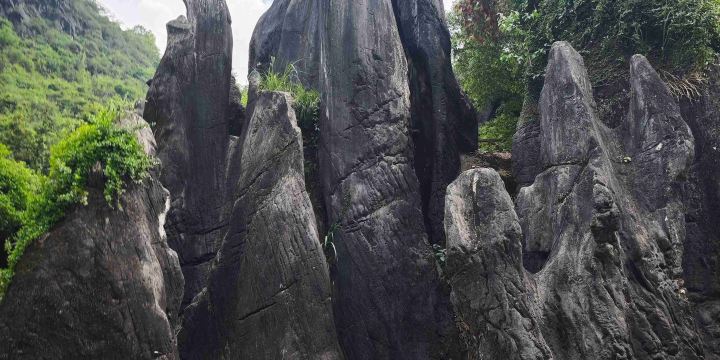 Jade Stone Forest