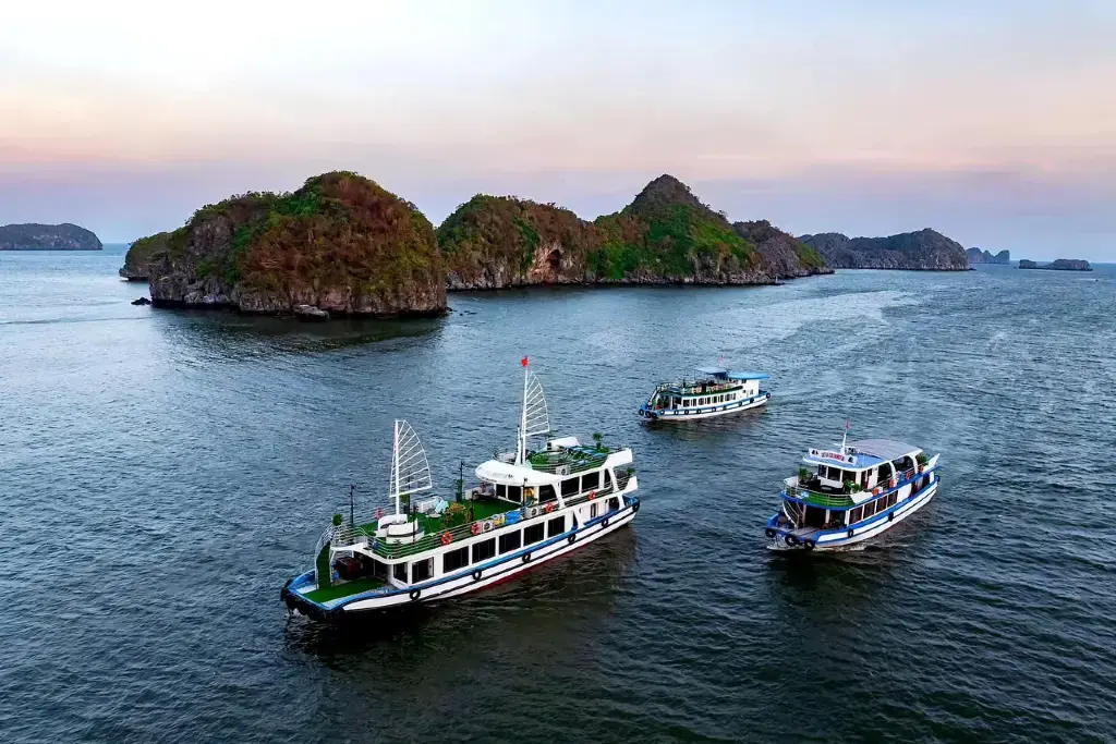 Cat Ba Eco Tourist