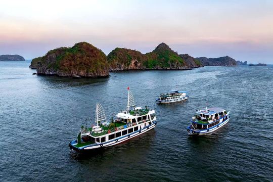 Cat Ba Eco Tourist