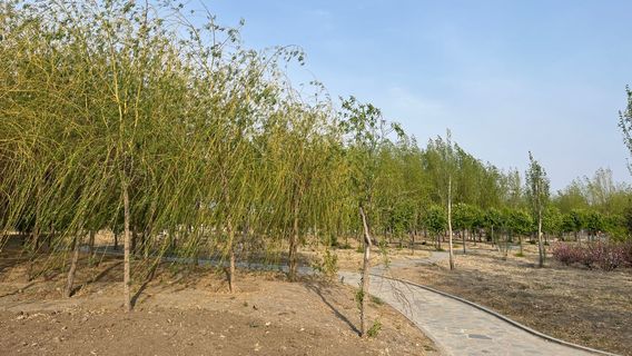 da an nan hu gong yuan