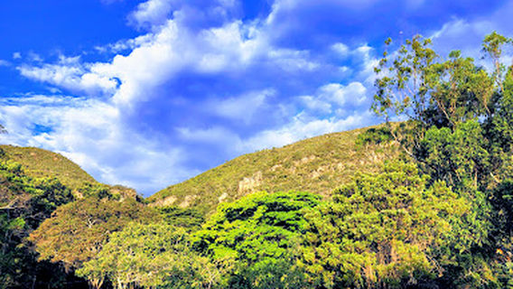 Cachoeira Véu da Noiva