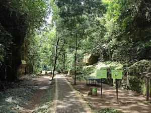 Body Rafting Citumang Pangandaran