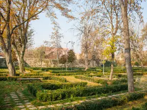 Parcul Municipal Regele Mihai I