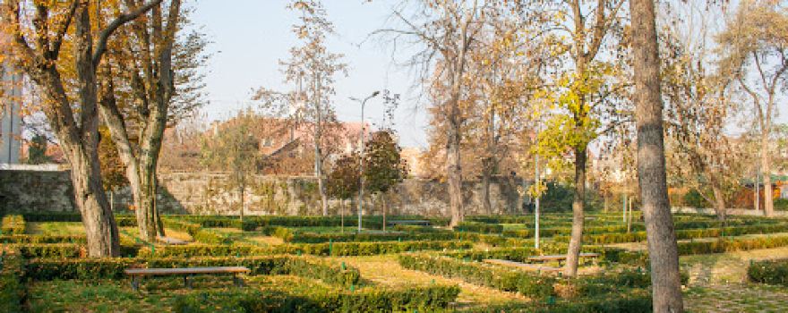 Parcul Municipal Regele Mihai I