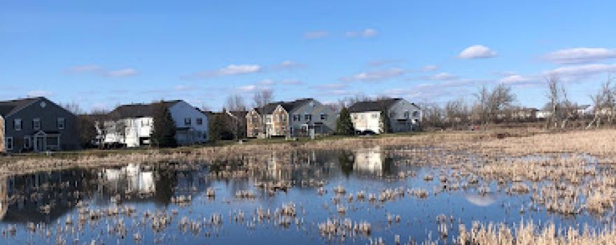 Marl Flat Forest Preserve