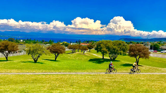 Rangatira Park Lookout