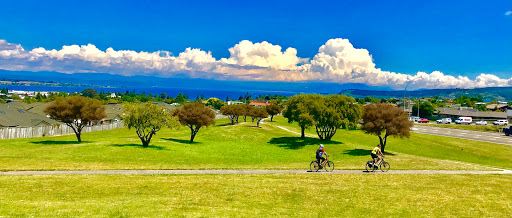 Rangatira Park Lookout