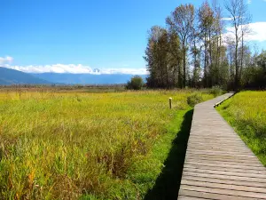 Corn Creek Marsh - Creston Valley Wildlife Management Area