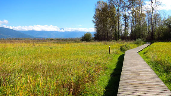 Corn Creek Marsh - Creston Valley Wildlife Management Area